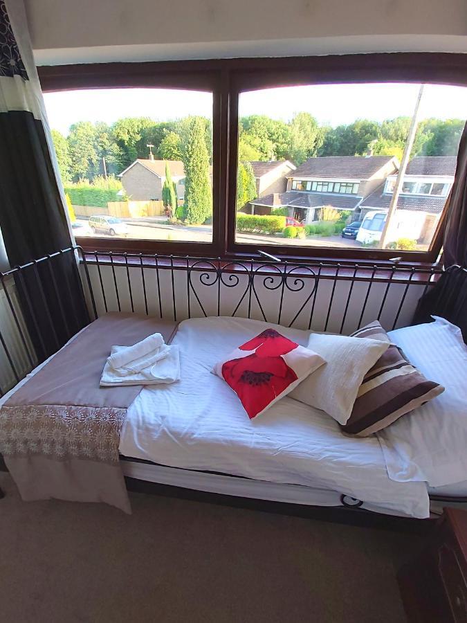 Bed & Breakfast The Paddocks Number 10 *
