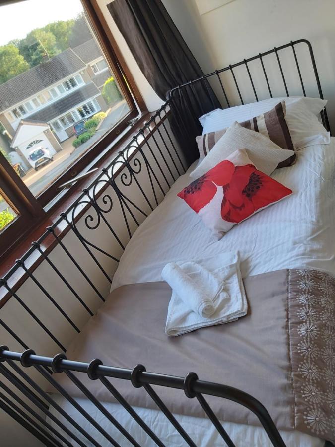Bed & Breakfast The Paddocks Number 10