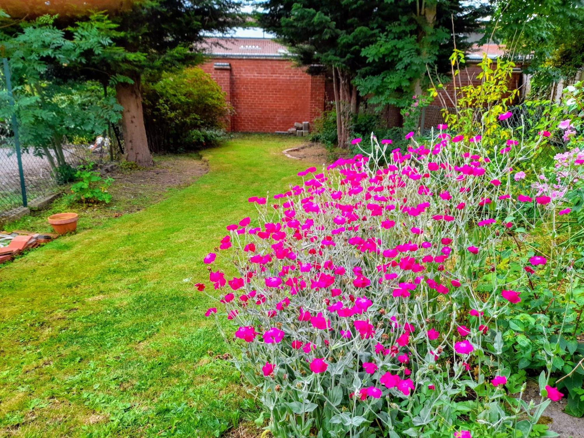Apartment Jasmine A - Ideal For Qmc & Uni - Free Parking *