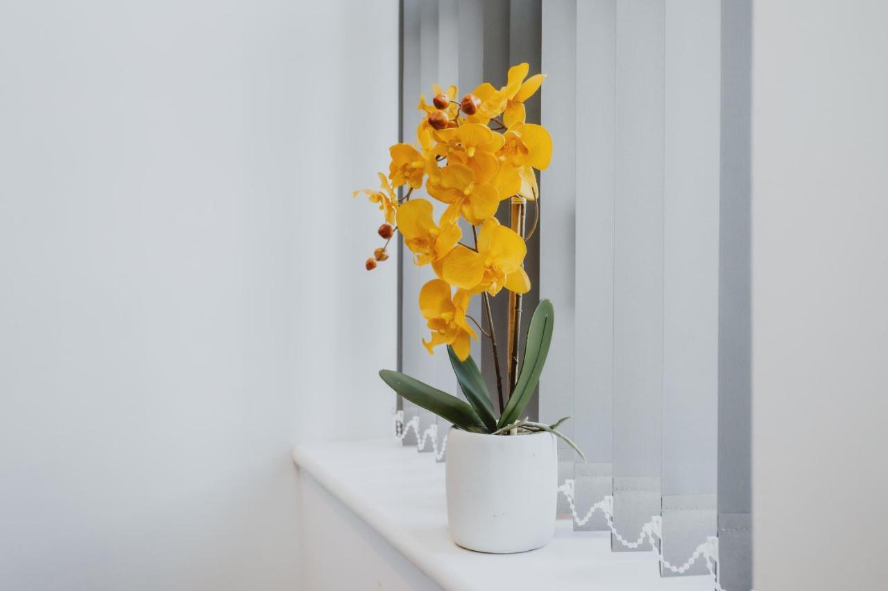 Apartment 1 Bed Stylish City Flat 2nd Floor Close To City Centre With Free Parking, King Size Bed & Wi-fi