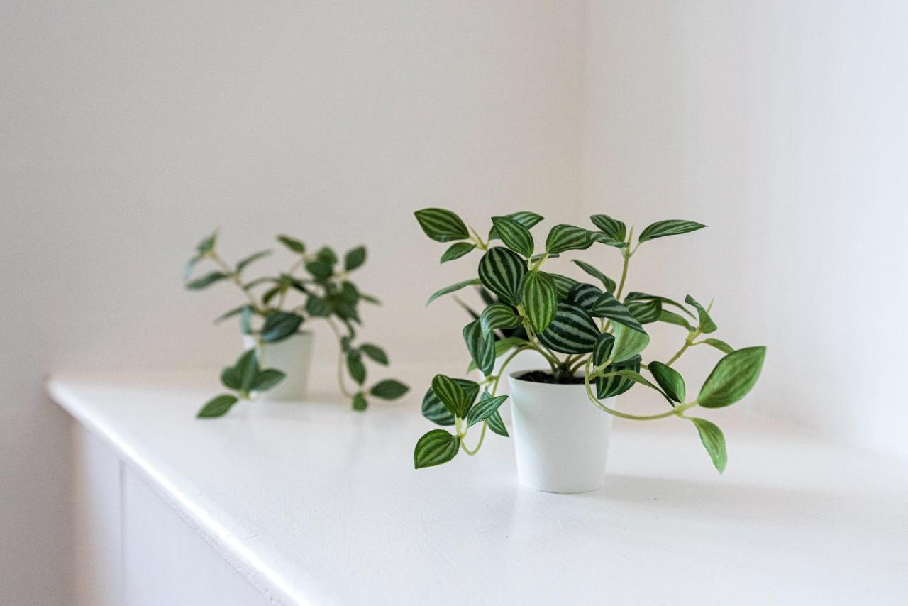Jasmine B - Ideal For Qmc & Uni - Free Parking Nottingham