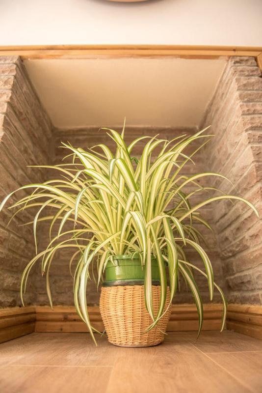 Marlborough Hall - Quiet Apartamento Nottingham