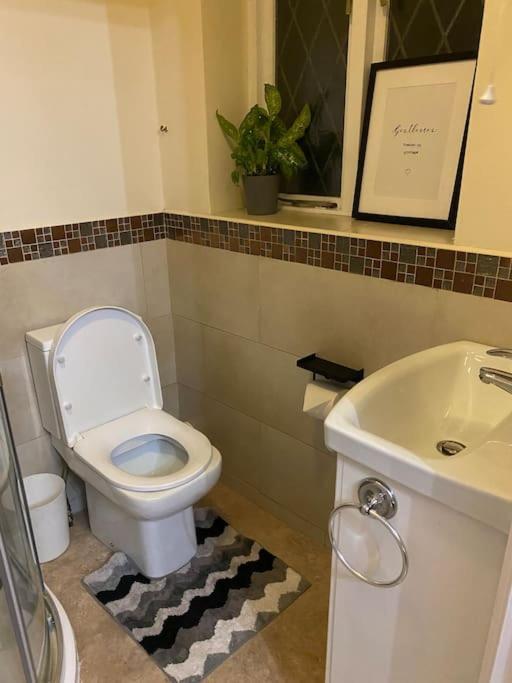 Cheerful 3-bed Detached
