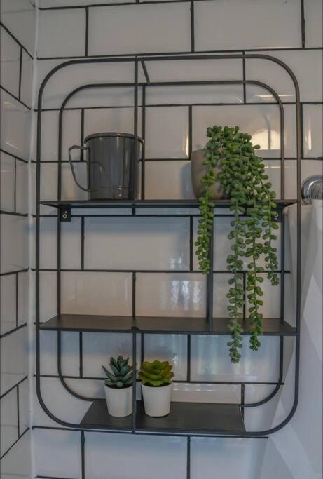 Entire In Apartment