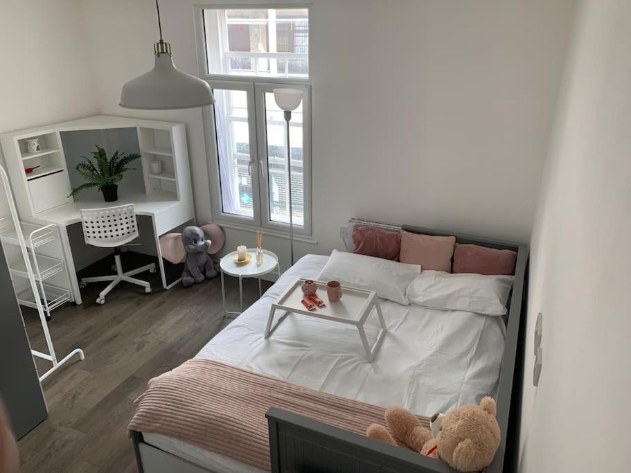 Stylish Flat In Centre Apartment