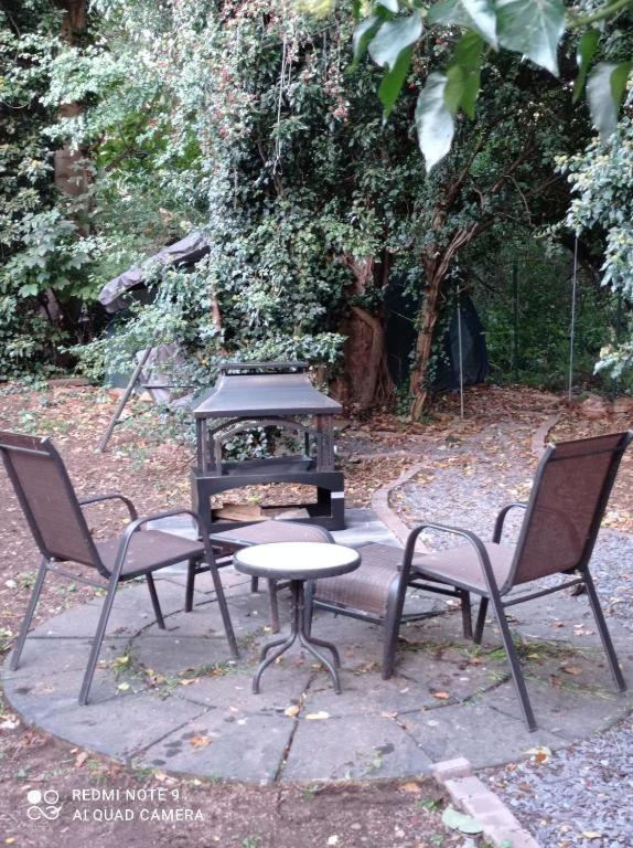 Forest View Apartment *