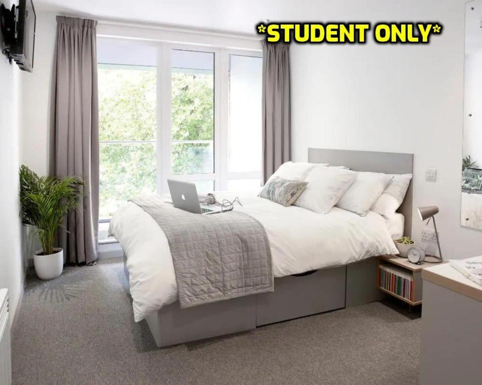 Student Only Zeni Central Apartment