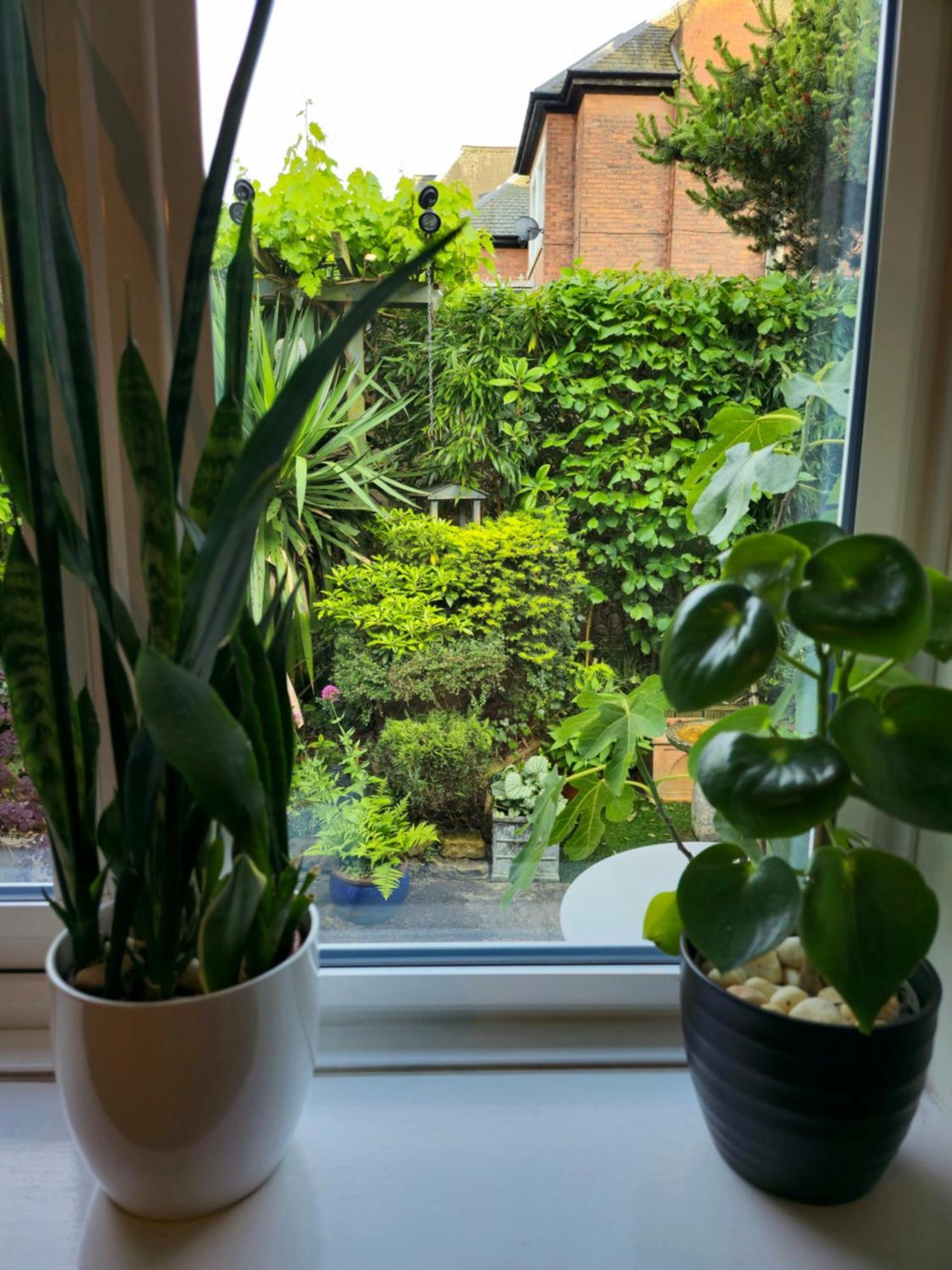 Luxurious 1 Bedroom Bungalow With Parking And Private Garden,sleeps 2 * Nottingham