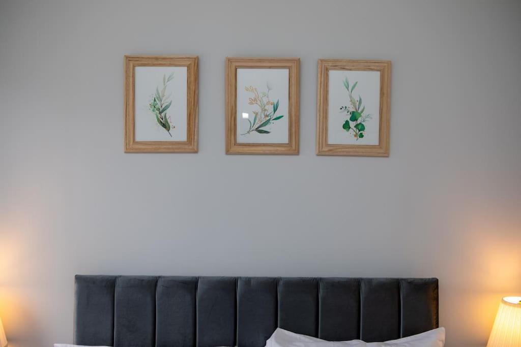 Apartment Modern Free Parking Double Bed 5 *