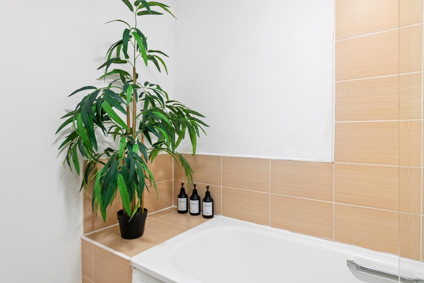 Apartment Stylish 1 Bed In