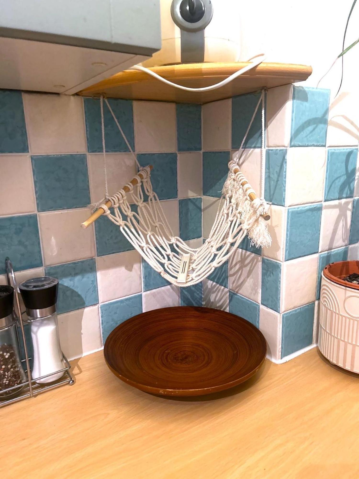 Apartment Cosy Ground Floor With Fantastic Transport Links
