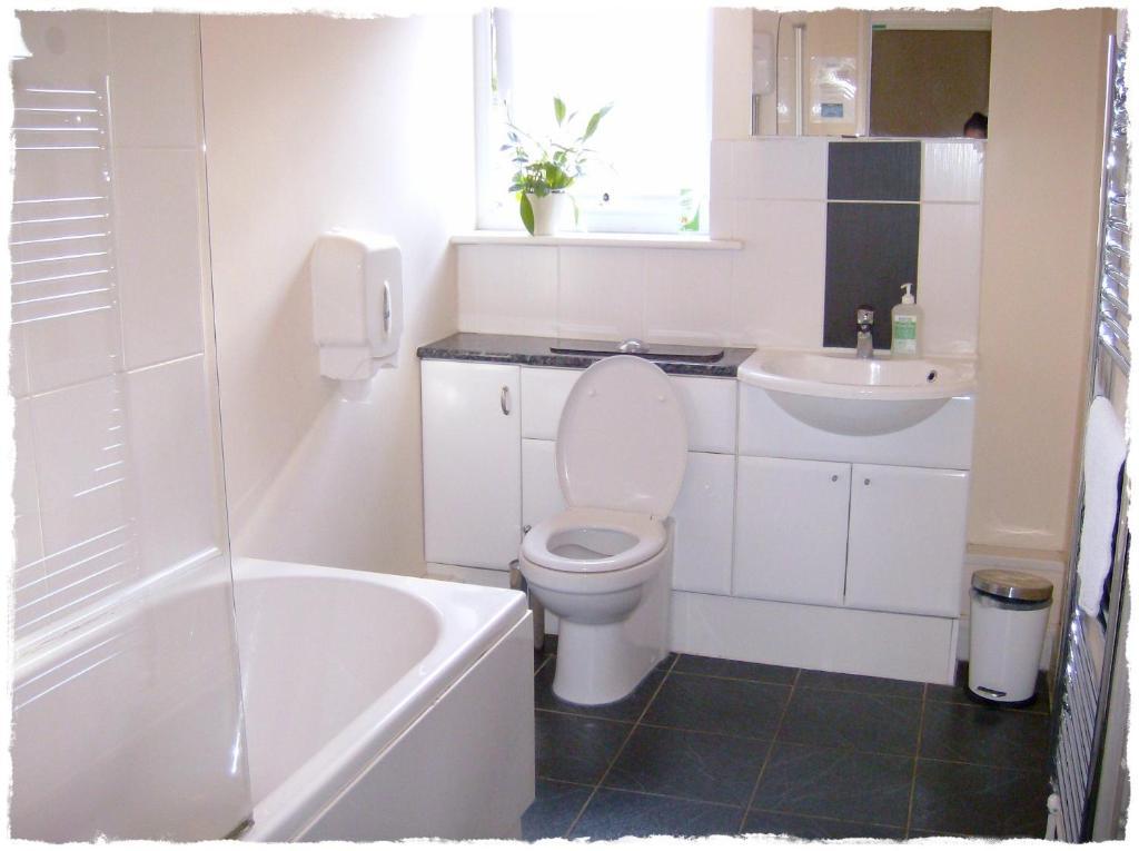 Igloo Backpackers & Annexe Hostel