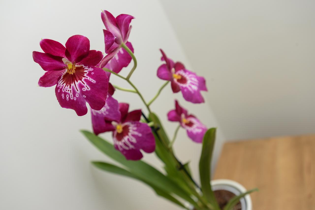 Apartamento Market Street Apartments: Modern Centre Living With Wi-fi Nottingham