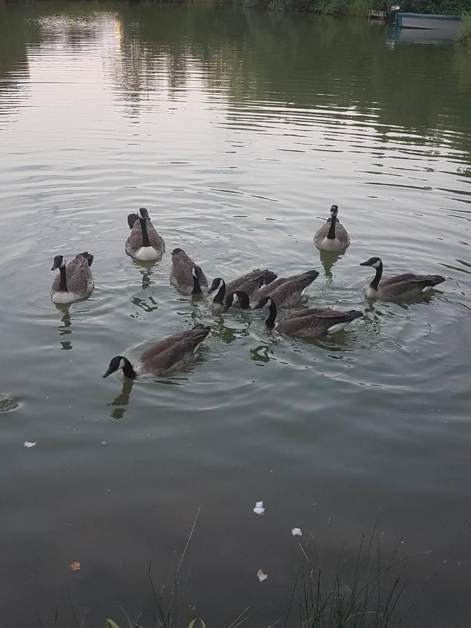 Elton Barn Fishery & Retreat Lodge Nottingham