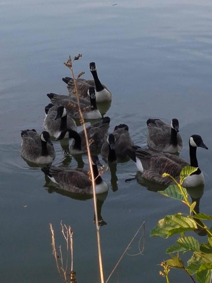Lodge Elton Barn Fishery & Retreat *