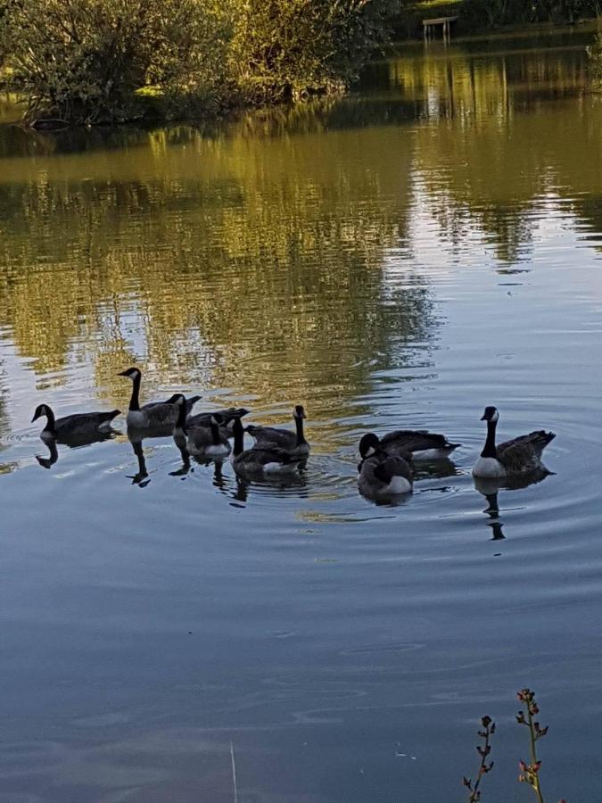 Lodge Elton Barn Fishery & Retreat