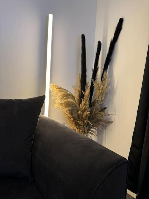 Luxury Cozy 3 Bed 5mins From - Free Parking! Nottingham