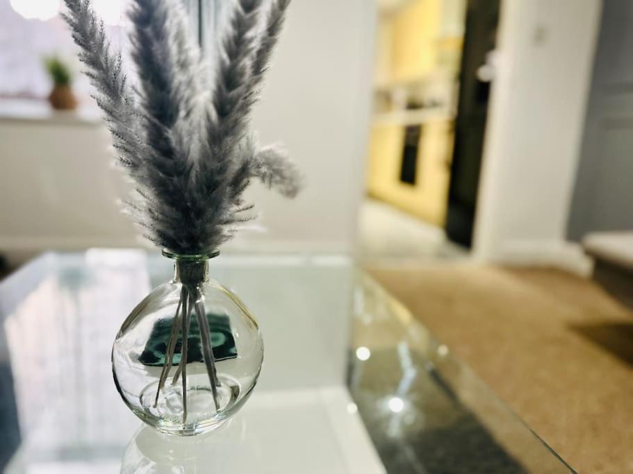 Apartment Cozy 3-bedroom With Free Parking *